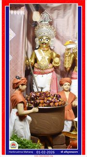 Vadtal Temple Murti Darshan