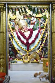 Vadtal Temple Murti Darshan