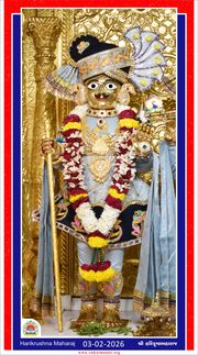 Vadtal Temple Murti Darshan