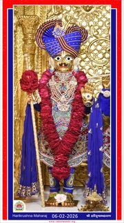 Vadtal Temple Murti Darshan