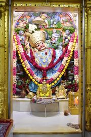 Vadtal Temple Murti Darshan