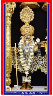 Vadtal Temple Murti Darshan