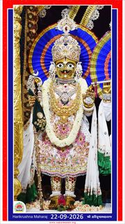 Vadtal Temple Murti Darshan