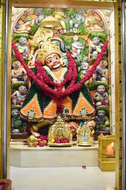 Vadtal Temple Murti Darshan