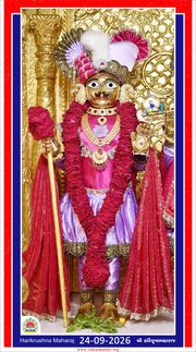 Vadtal Temple Murti Darshan