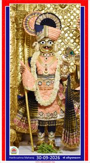 Vadtal Temple Murti Darshan