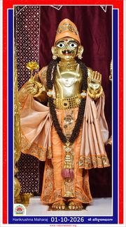 Vadtal Temple Murti Darshan