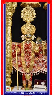 Vadtal Temple Murti Darshan