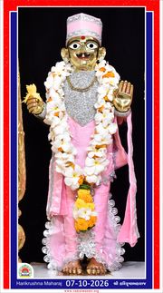 Vadtal Temple Murti Darshan