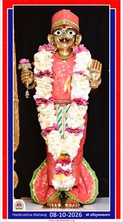 Vadtal Temple Murti Darshan