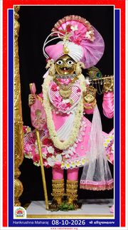 Vadtal Temple Murti Darshan