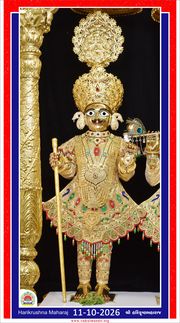 Vadtal Temple Murti Darshan