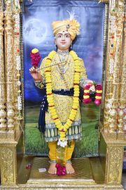 Vadtal Temple Murti Darshan
