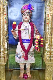 Vadtal Temple Murti Darshan