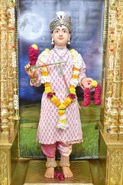 Vadtal Temple Murti Darshan