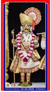 Vadtal Temple Murti Darshan