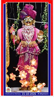 Vadtal Temple Murti Darshan