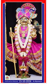 Vadtal Temple Murti Darshan
