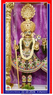 Vadtal Temple Murti Darshan