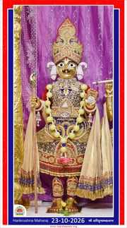 Vadtal Temple Murti Darshan