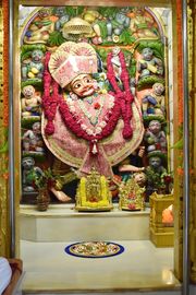 Vadtal Temple Murti Darshan