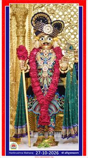 Vadtal Temple Murti Darshan