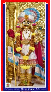 Vadtal Temple Murti Darshan