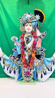 Baltimore  Temple (ISSO) Murti Darshan