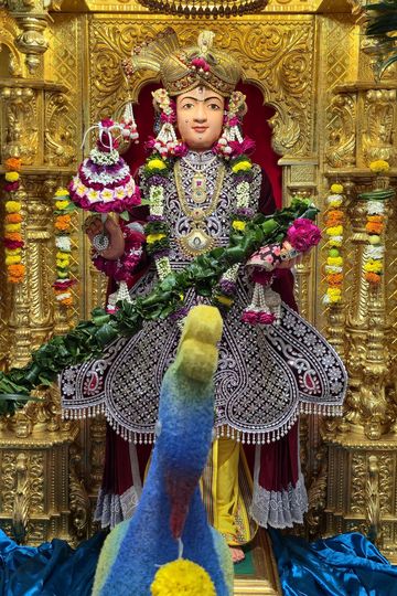 Rajkot Temple Murti Darshan